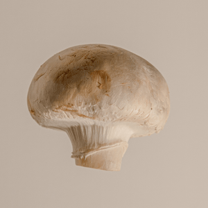 Mushrooms Cup (punnet) - Market Box'd