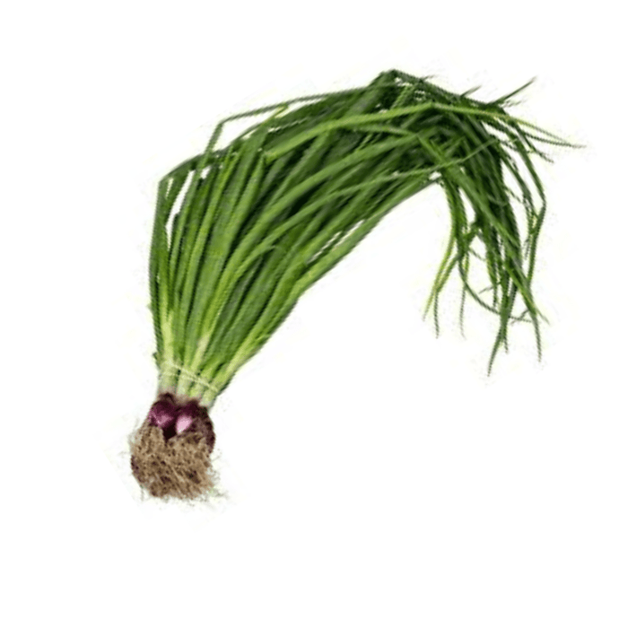 Spring Onions (bunch) - Market Box'd